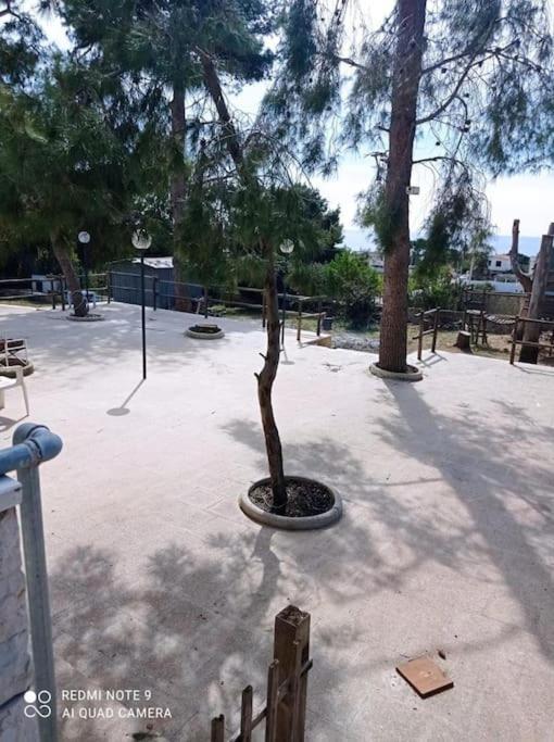 Appartamento In Villa Con Pineta Leporano Exterior photo